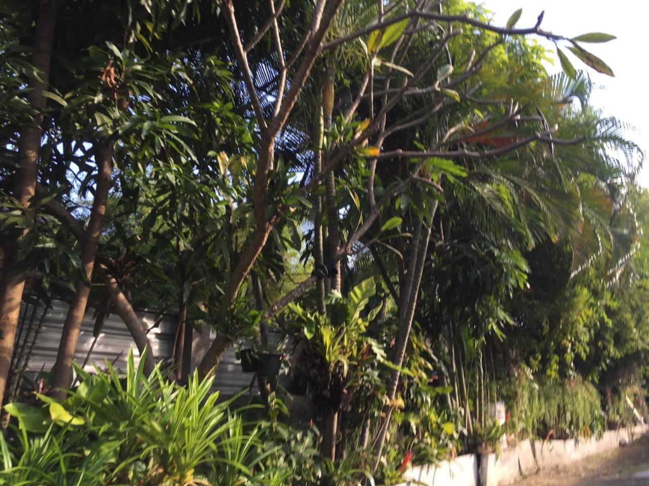 Nan Inn Bungalow Karon Екстериор снимка